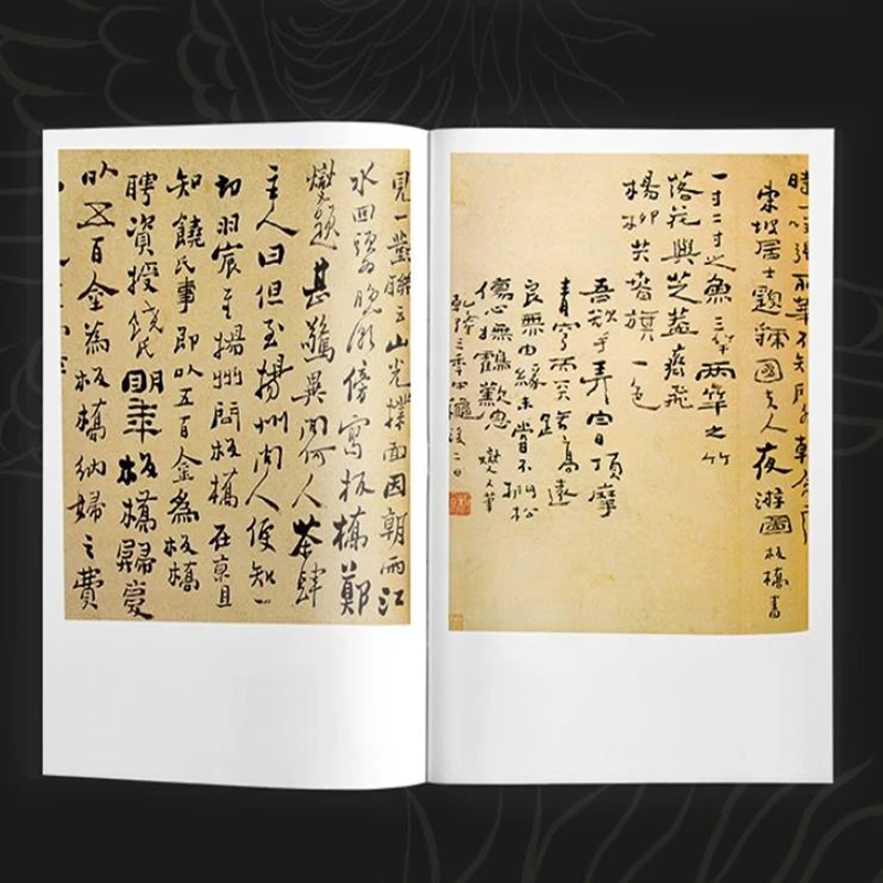Полная коллекция фотографий чернила альбом для рисования Sumi-e книга Zheng BanQiao Bamboo
