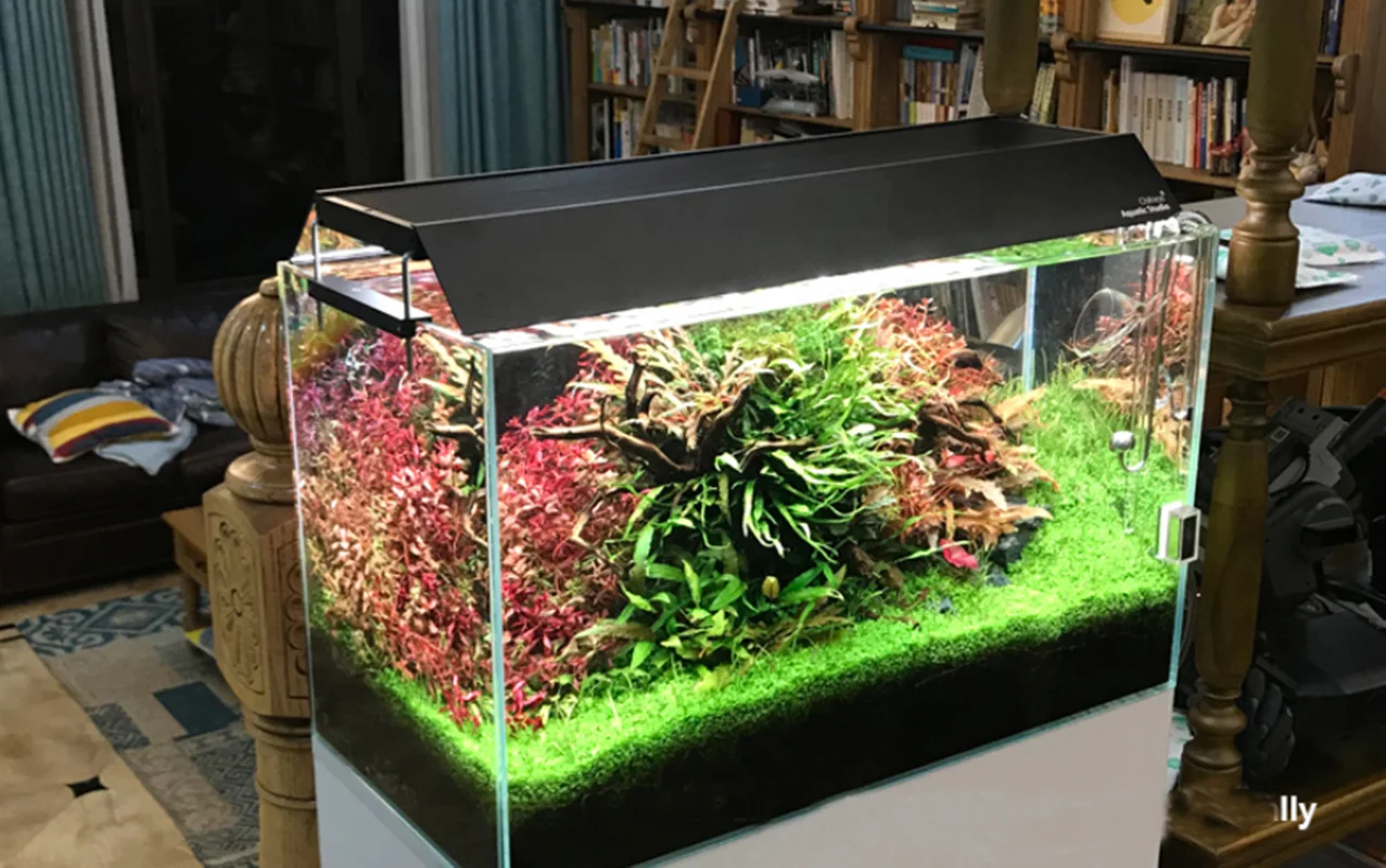 Chihiros WRGB-Luz LED v&iacute;vida, accesorios para acuario, reflectante-3
