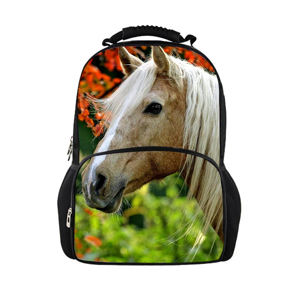 Рисунок 4 - Рюкзак для девочек-подростков