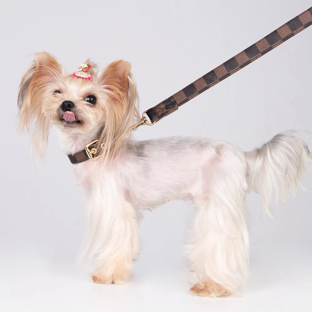 Conjunto de Correa y Collar para perro, accesorios de dise&ntilde;o para Bulldog Franc&eacute;s, Schnauzer Corgi, Chihuahua, Gato de cuero-4