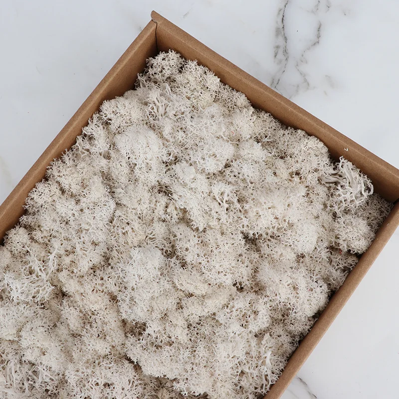 Цветочный материал мини садовый микро Ландшафтный подарок 200 г имитация растений