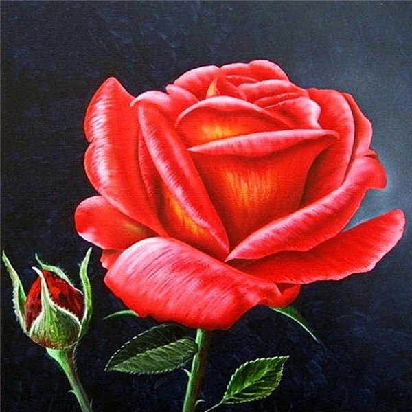rose 4028 AZQSD Алмазная Вышивка Цветы ручная работа алмазная картина Роза картина Стразы Алмазная мозаика домашний декор ремесла подарок - Цвет: rose 4028