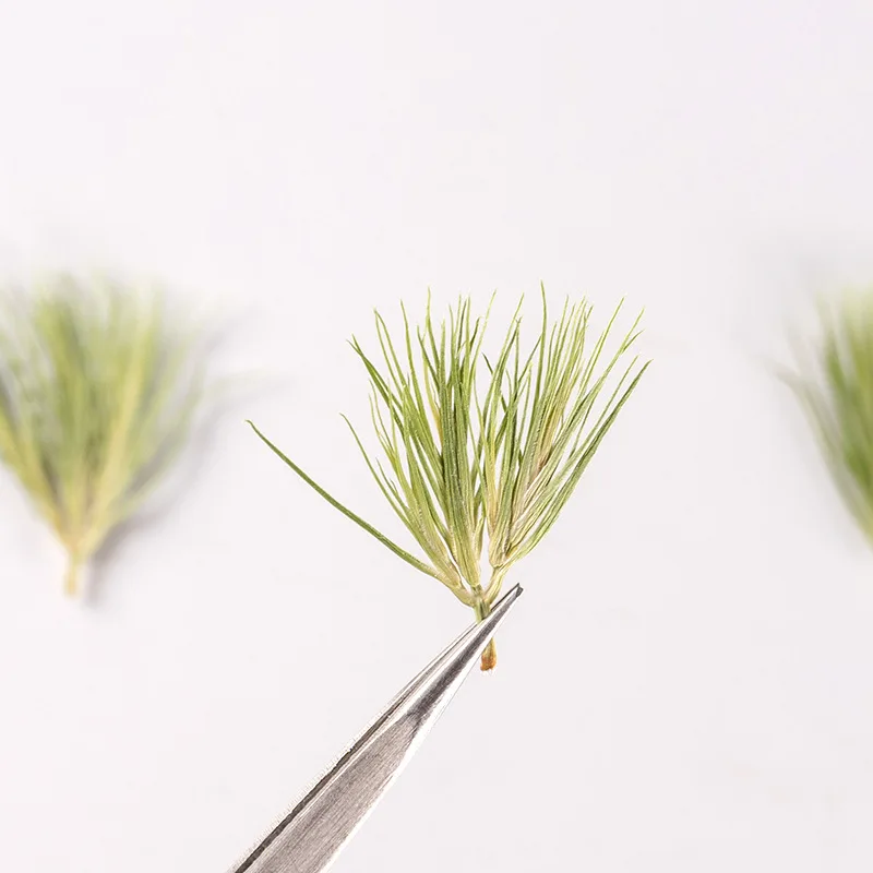 Green Moss Leaves Dried Flower Plant Pressed Plants Leaf Grass For DIY Frame Phone Case Bookmarks Making Accessories | Дом и сад