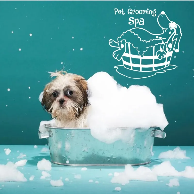 Переводная картинка для салона ухода за домашними животными стикеры плакаты