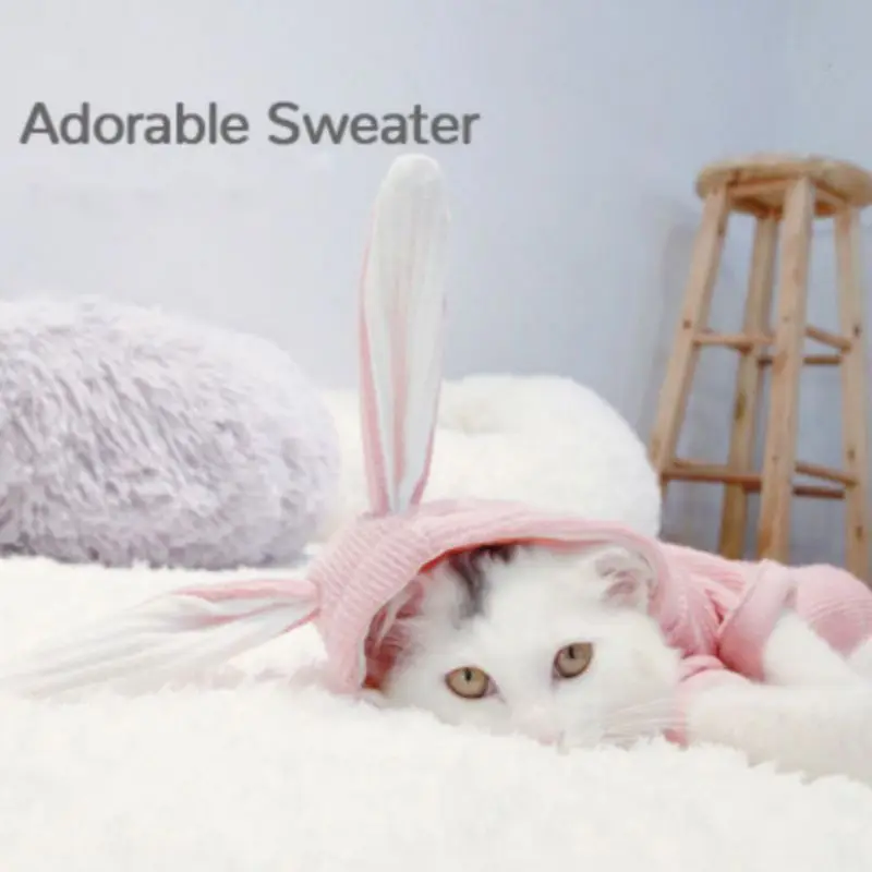Милая домашняя кошка куртка с капюшоном зимний теплый комбинезон для животных