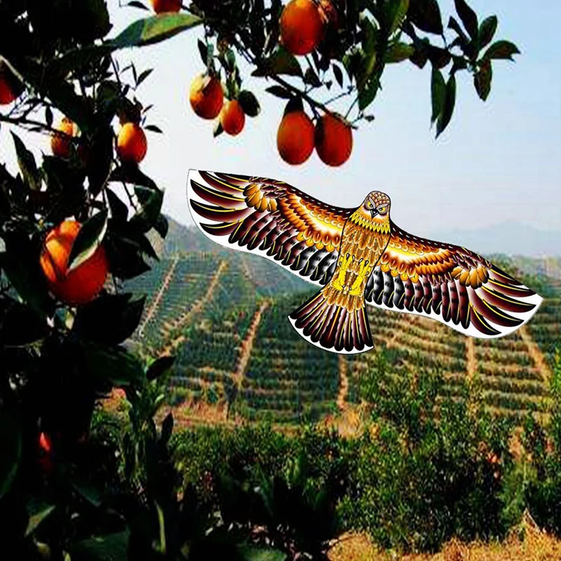 

1.2M Flat Eagle Kite With 50 Meter Kite Line Flying Bird Windsock Outdoor Toys 1 Pcs