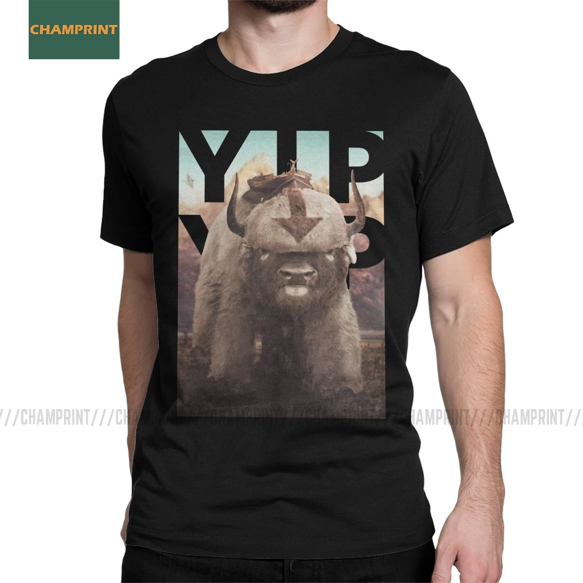 Для мужчин футболки с рисунками из мультфильмов Appa в царство Земли Аватар