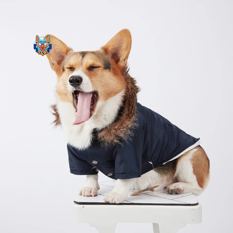 Зимняя Теплая Одежда для собак водонепроницаемое пальто Французский бульдог