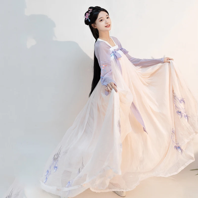 

Chinese Han Costume Ancient Chinese Costume Women Embroidery Daily Hanfu Classical Dance Costume Chinese Style Clothes SL1285