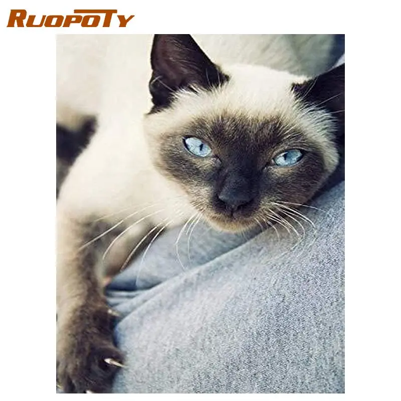 

Алмазная мозаика RUOPOTY с кошкой, полная вышивка, распродажа, алмазная картина 5d стразы, картина, украшения для дома