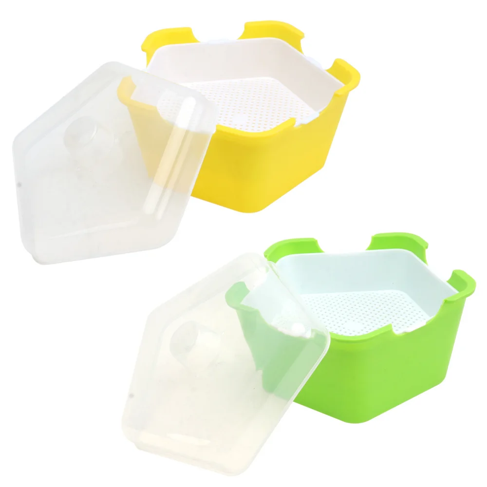 

2 Sets Pentagonal Sprouts Seedlings Tray Simple Multi-function Planting Box