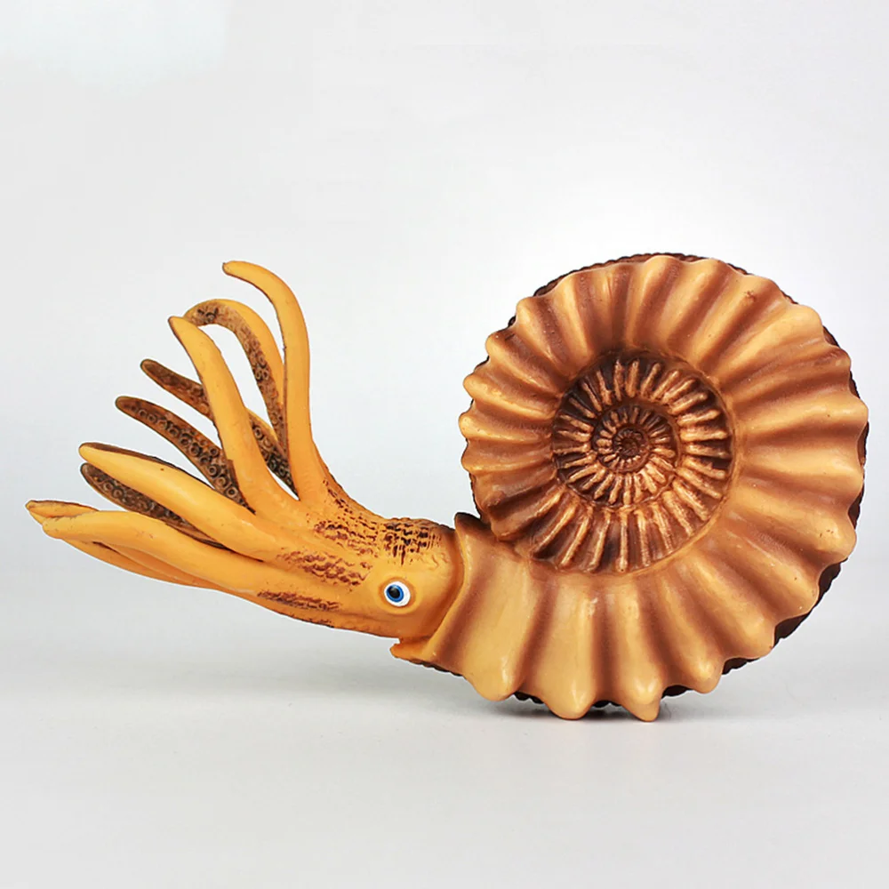 

1pc Simulation Nautilus Model Animal Model Marine Life Figure for Kids Toddlers