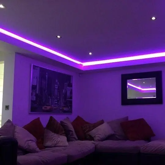 LED Light Strip Bluetooth Led Tape RGB SMD2835 5050 5M 10M DC12V diode Ribbon Flexible For Home kitchen Christmas Party | Лампы и