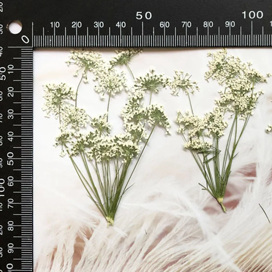 50 шт. цветок для украшений | Дом и сад