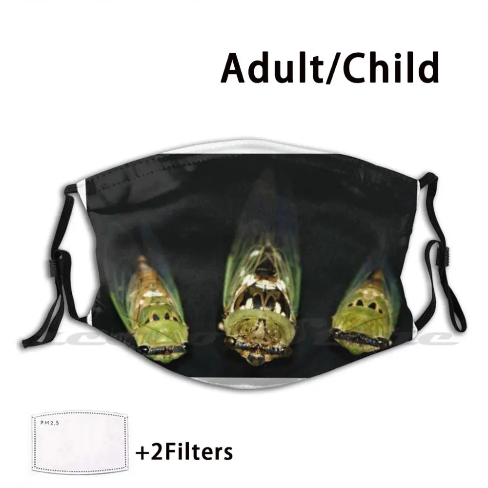 

Three Little Bugs ( Cicadas ) Custom Pattern Washable Filter Pm2.5 Adult Kids Mask Cicada Nature Bugs Insects