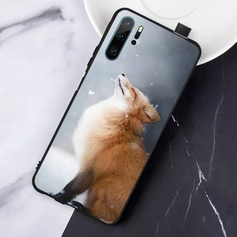 

Animal Raccoon Fox Phone Case For Huawei honor Mate P 10 20 30 40 Pro 10i 9 10 20 8 x Lite