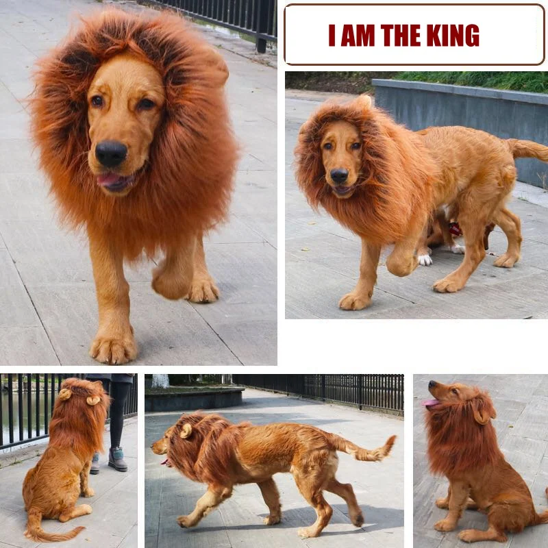 Головной убор для собак косплей льва грива головной большой собаки Золотое