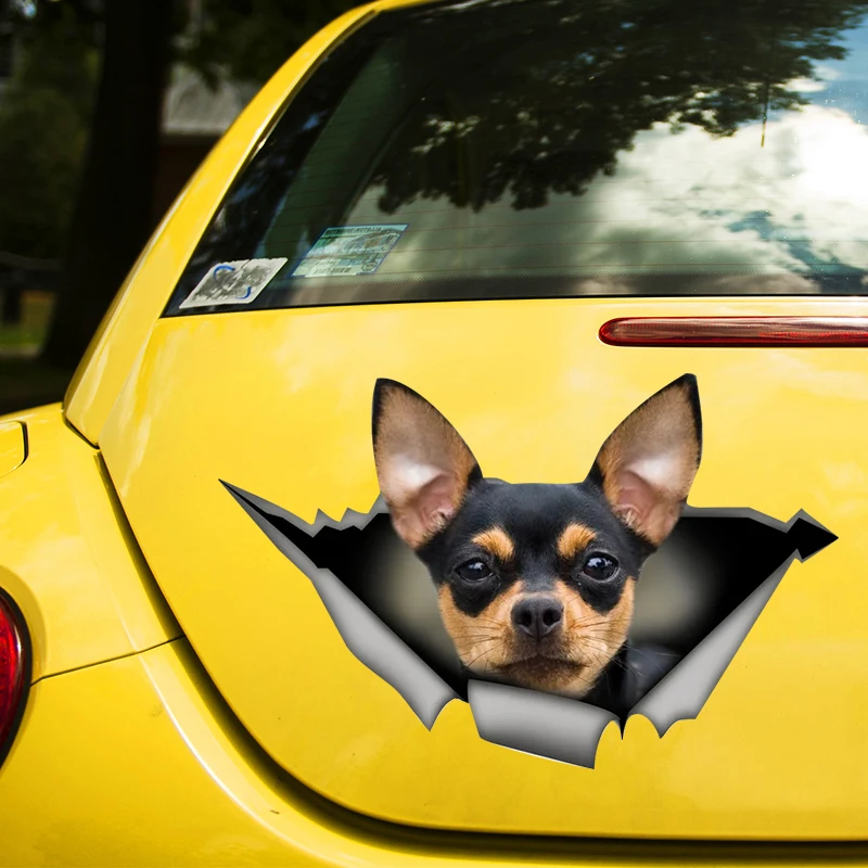 

Black and tan Chihuahua 17CM\20CM Self-adhesive Decal Car Sticker Waterproof Auto Decors on Bumper Rear Window Laptop # 60429
