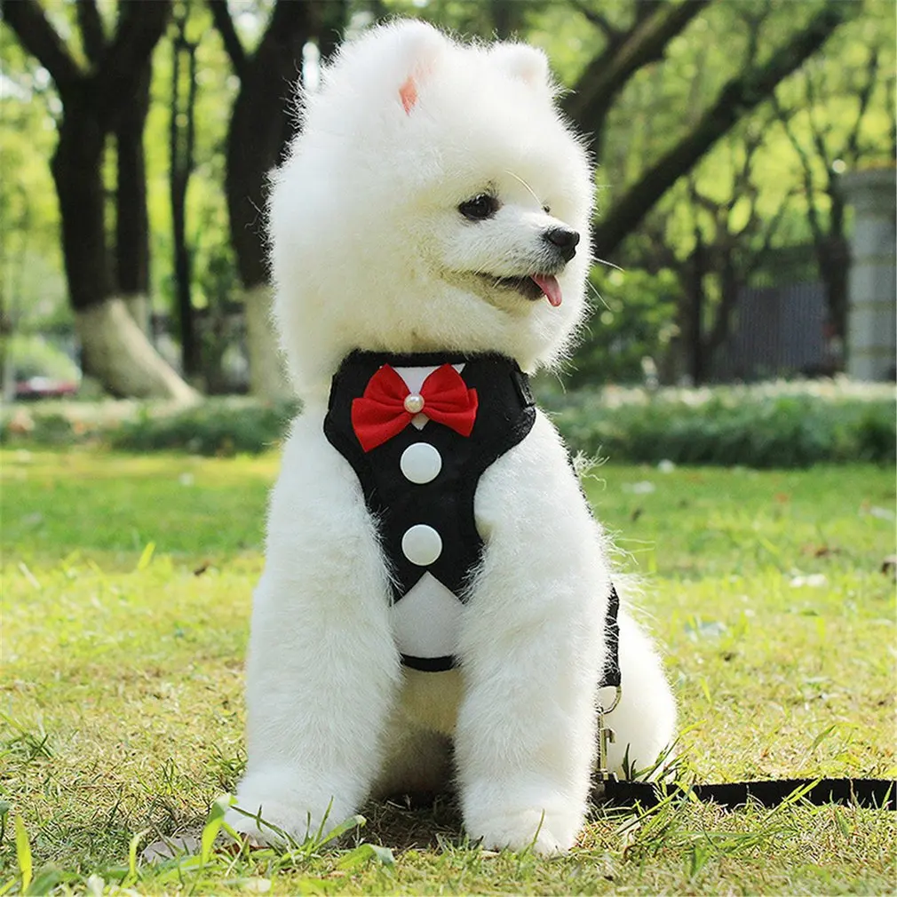 

Pet Harnesses Leash Chest Belt Collar Traction Rope For Dogs Breathable Dog Multi-Style Dress Bow Vest Gentleman Pet Clothes