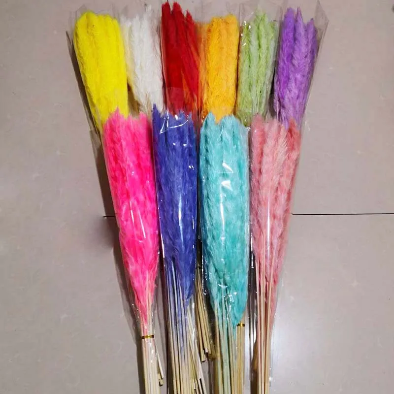 Сушеный цветок тростник дикие натуральные растения настоящий Цветочная