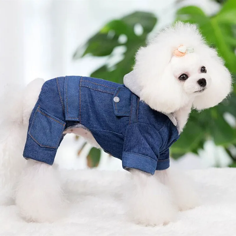 Новинка одежда для щенков Роскошные куртки домашних животных размеры XXL питомцев