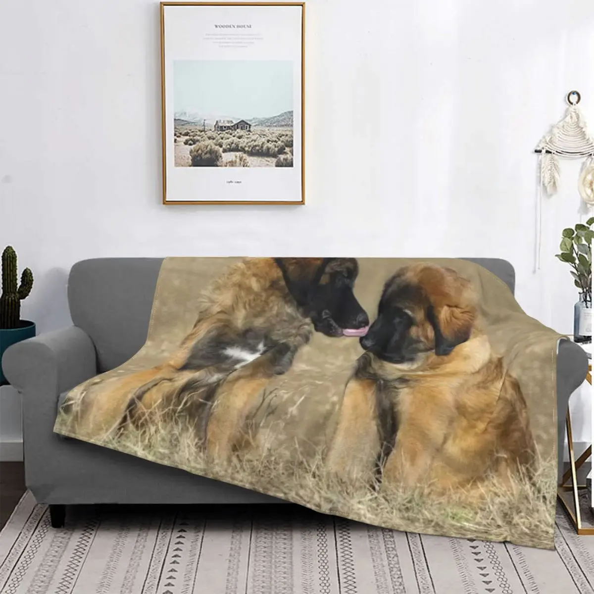 

Leonberg-Манта кукро для камеры, edredone de felpa de Anime, colcha de verano, 4 штуки