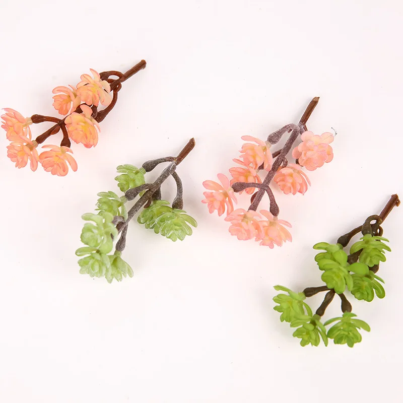 Моделирование суккулентного растения горячая Распродажа одностворчатое