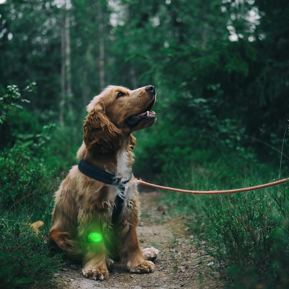 

Pet Dog Led Light Lamp Tag Dog Collar Light Waterproof Pet Light Safety LED Clip-On Cat Light For Night Walking Pet Accessories