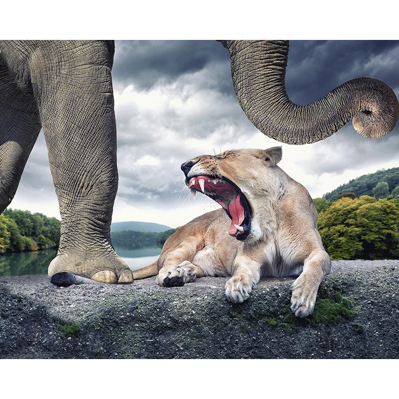 

DIY 5D Diamond Painting Animal Tiger Elephant Embroidery Cross Stitch Rhinestone Picture Full circular Diamond Home Decor