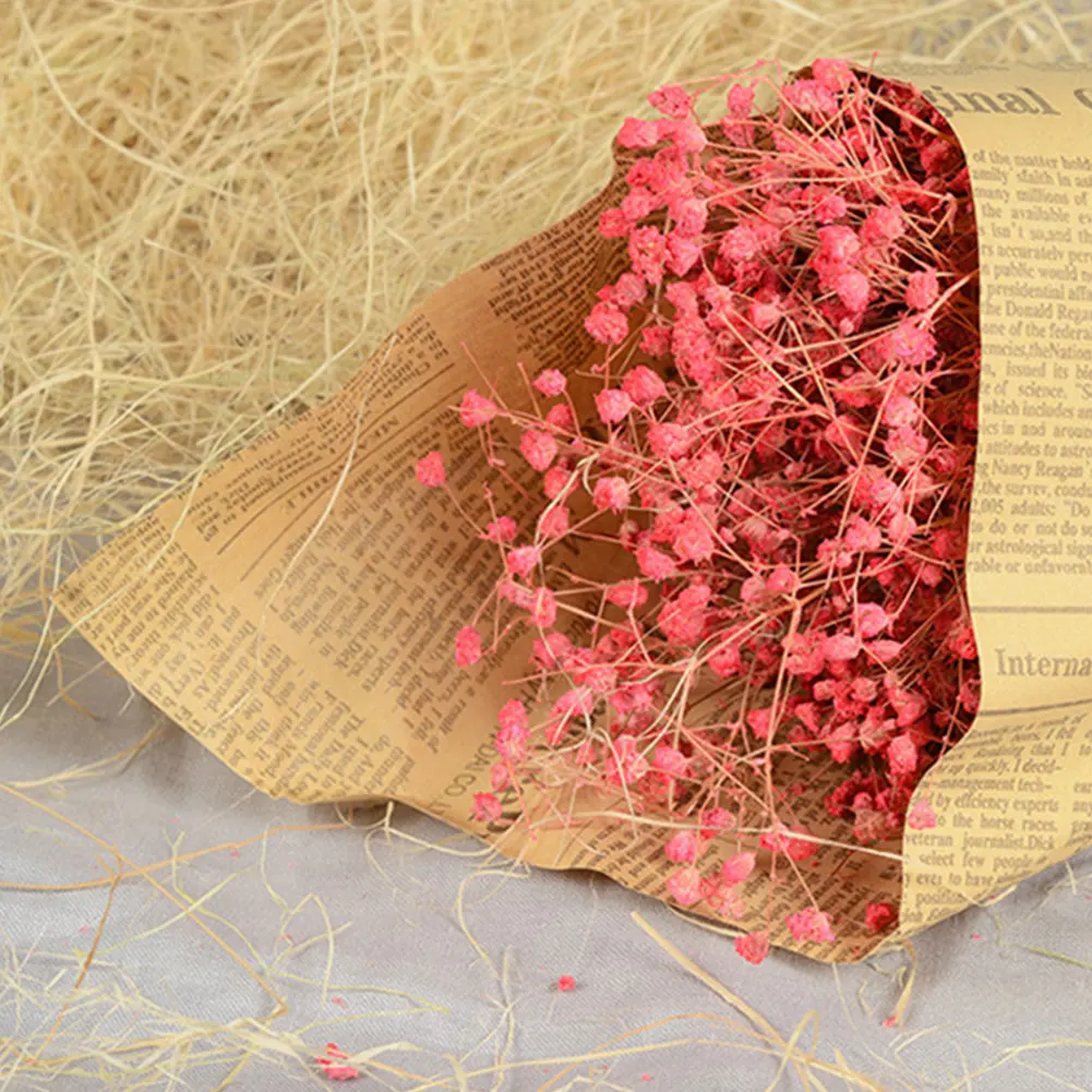 Маленькая птичья безопасная коробка наполнители легко наносится практичная