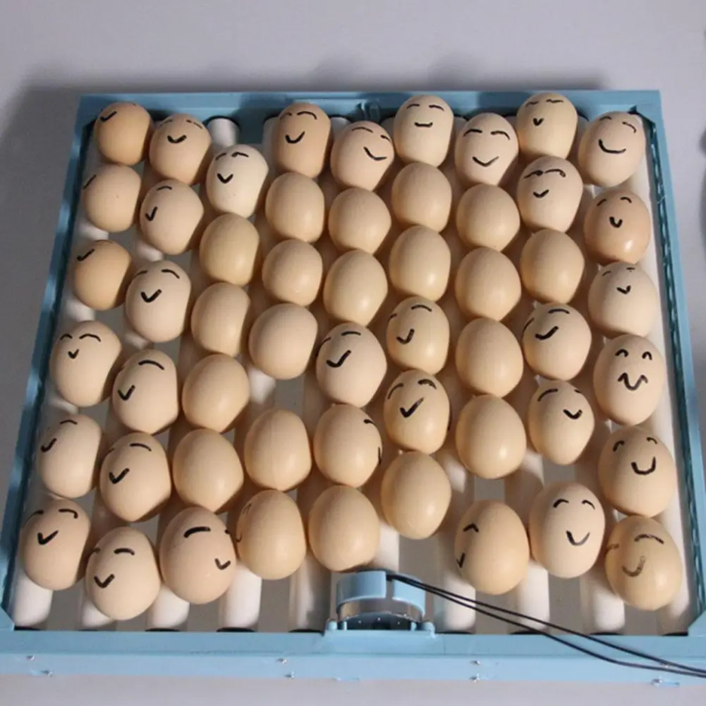 Высококачественный многофункциональный автоматический инкубатор для куриных