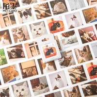 46pcs cat cartoon aesthetic stickers diy waterproof decorative stationery stickers for scrapbooking laptop water bottle diary