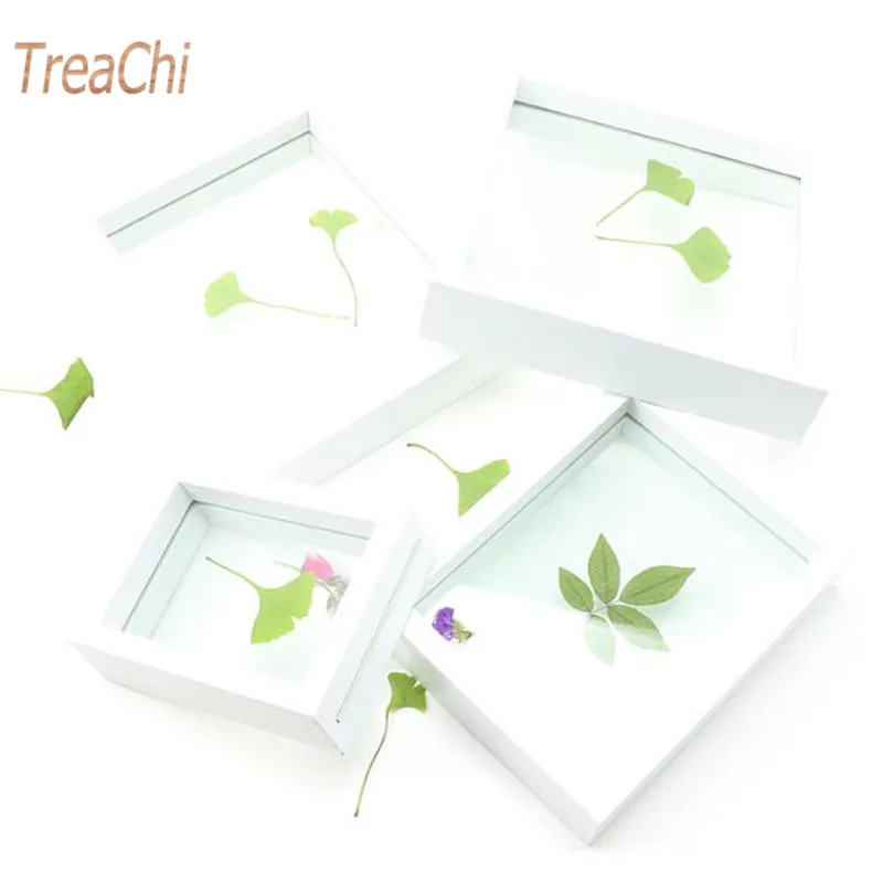 Высушенный растительный цветок лист образец коробка квадратная A4 бумажная рамка