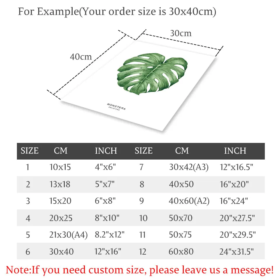 Монстера восхитительный скандинавский постер Palmaceae Картина на холсте лист