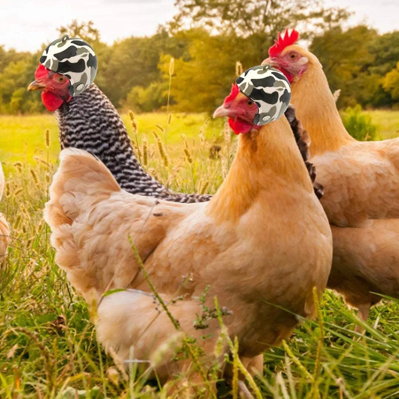 Фото Прохладный курица шлем каску шапка в форме птицы капюшон 1 шт. хомяк шлемы для