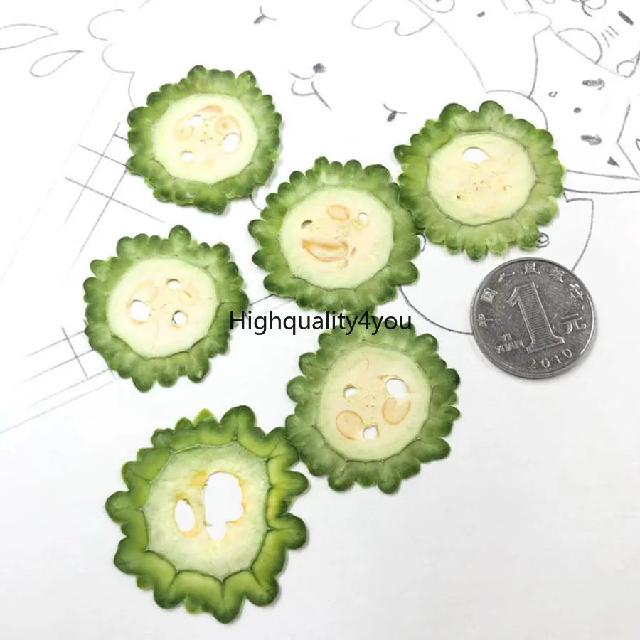 

30pcs Dried Pressed Vegetable Balsam Pear Slices Plant Herbarium For Exopy Jewelry Photo Frame Phone Case Bookmark Craft Making