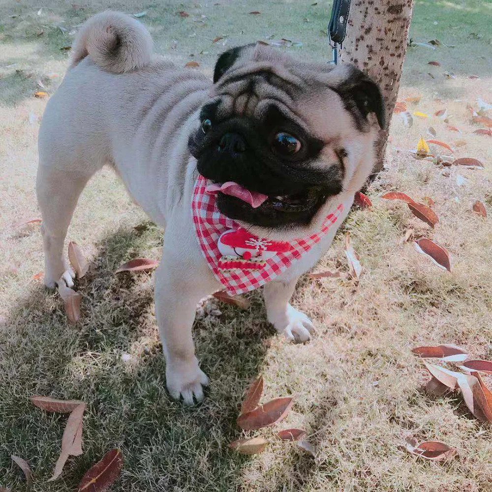 30 шт. рождественские товары для домашних животных хлопковые регулируемые