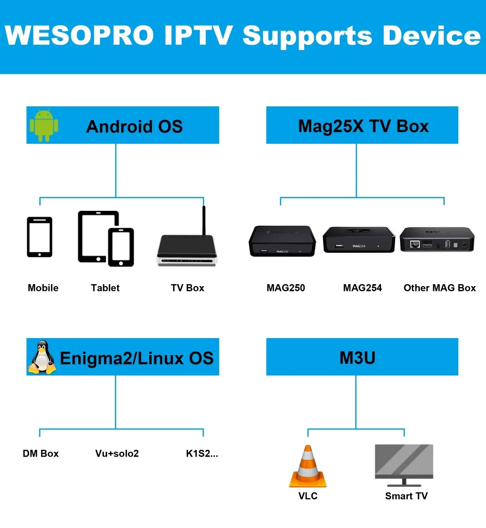 MG Pro Linux OS IP tv Box арабский французский Италия немецкий Нидерланды Польша Бельгия Великобритания CA США ES IP tv подписка телеприставка
