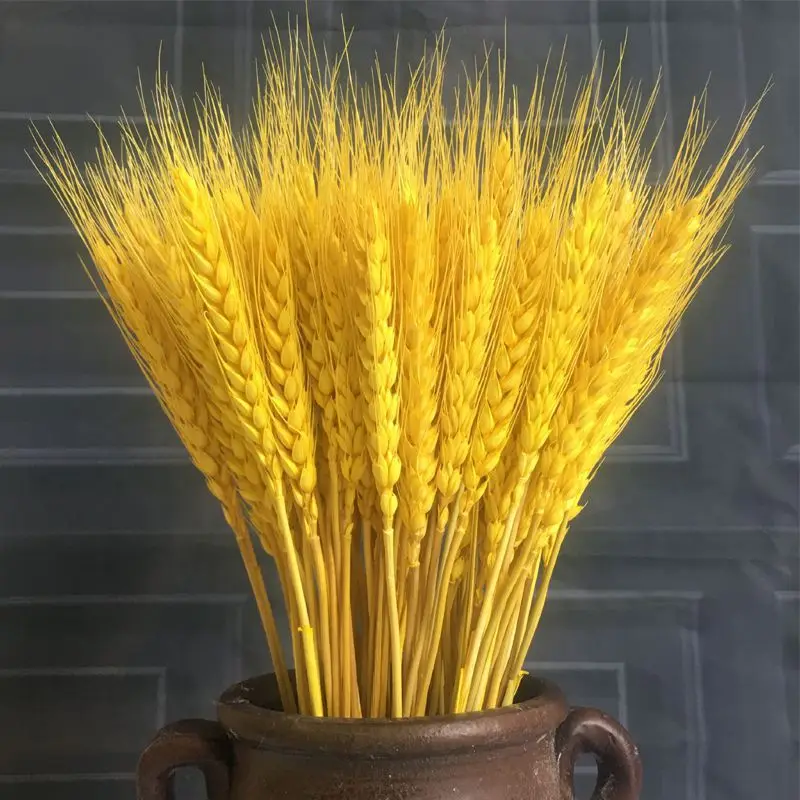 

50pcs/100pcs Wheat Autumn Decoration Pampas Grass Craft Flowers Dried Flowers for Wedding Decoration Wheat