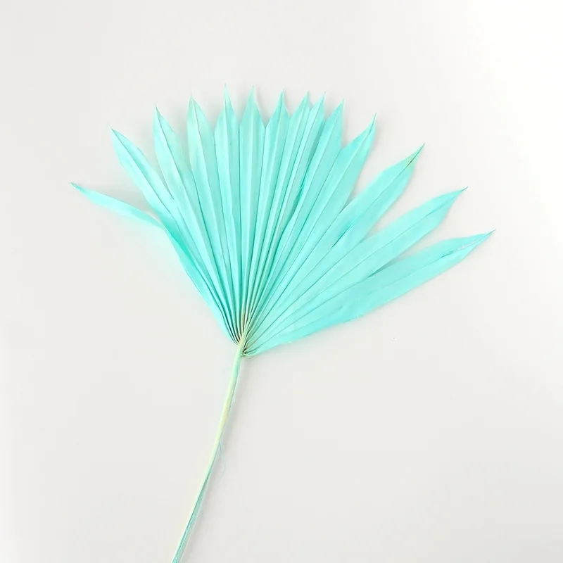 Украшение для дома в скандинавском стиле большой лист натуральный кошачий хвост