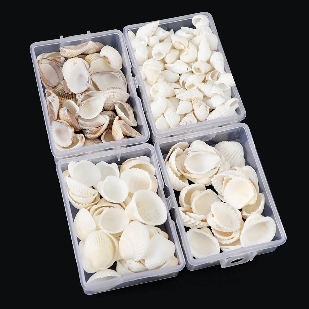 

Натуральная ракушка микро ландшафтное украшение аквариум Декор DIY ювелирные изделия аксессуары 40 г/кор.