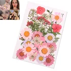 Винтажный прессованный цветок, цветы, искусство сделай сам, Цветочный декор, коллекционный подарок, домашний декор, поделки для девочек, подарок на день рождения