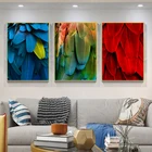 Постер для комнаты, цветное перо, холст, живопись, животное, птица, перо, настенное искусство, скандинавский Декор для дома, фреска