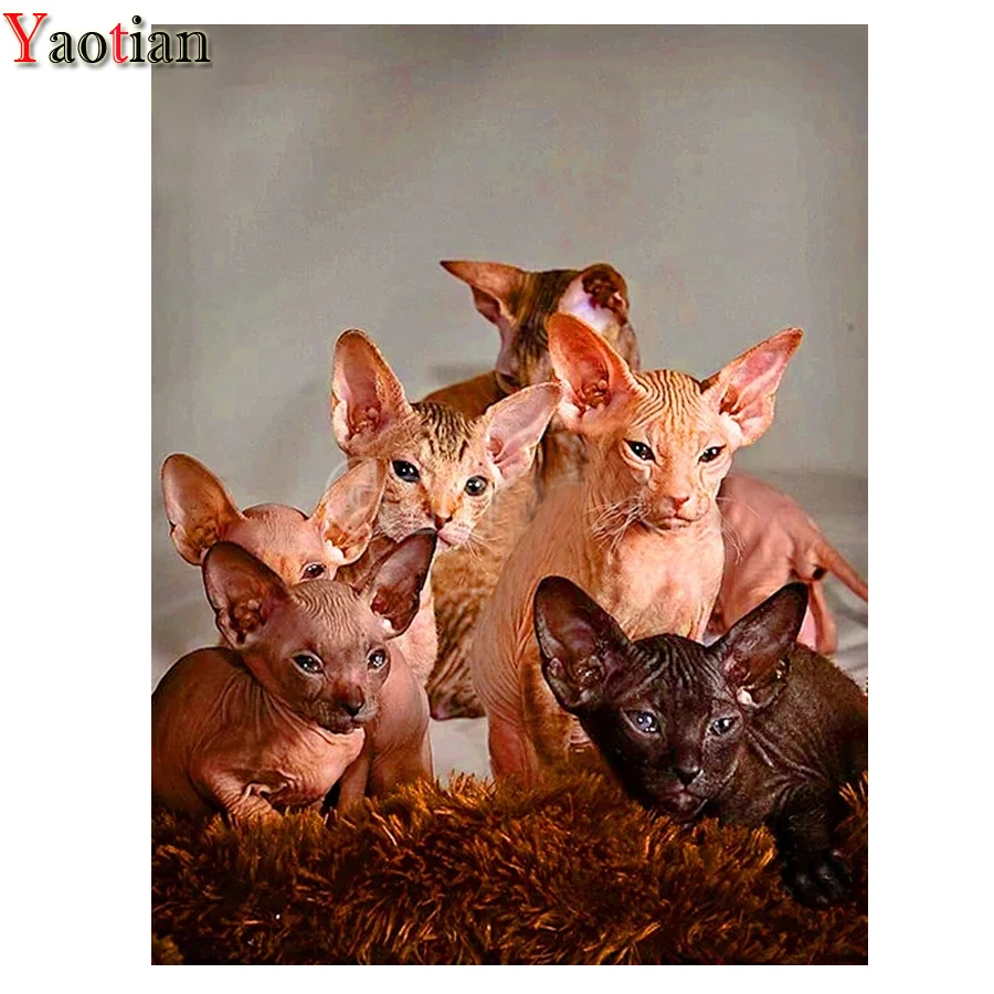 

Алмазная живопись, полная выкладка, животные, кошка сфинкса, вышивка крестиком, алмазная вышивка, мозаика, искусство, картина Стразы, домашн...