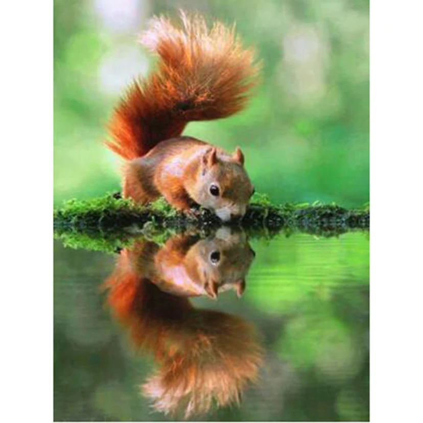 Алмазная живопись 5D «сделай сам», квадратная/круглая картина с изображением животных, озера, белки, отражения, сцены, вышивка крестиком, украшение BM1352