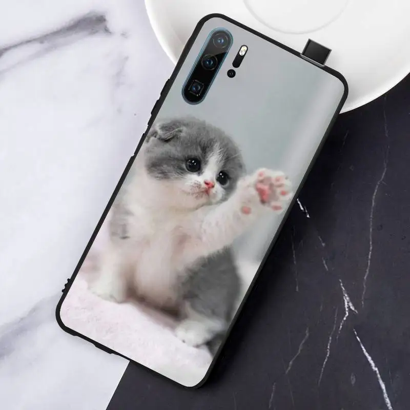 

cat cute lovely animal Phone Case For Huawei honor Mate P 10 20 30 40 i 9 8 pro x Lite smart 2019 nova 5t