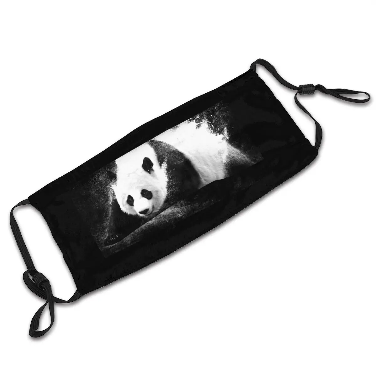 

Panda Filters Inside Reusable Face Mouth Mask Great Mouth Muffle Sunproof Protection Cover