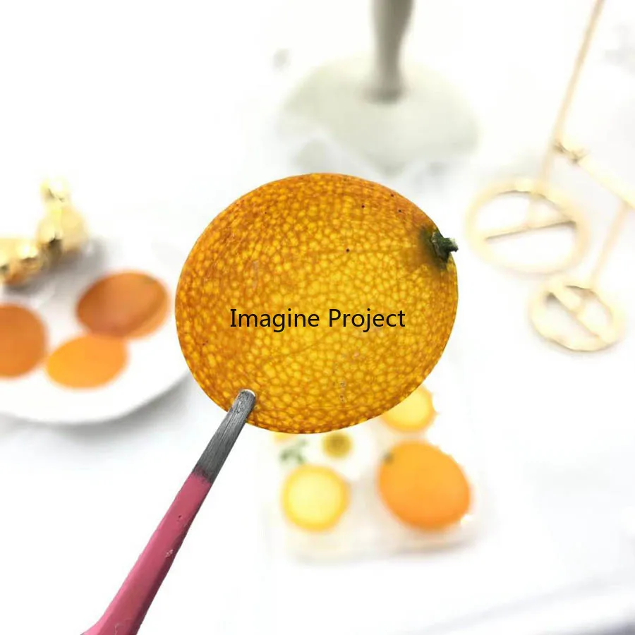 

5pcs Dried Pressed 2-3cm Kumquat Skin Slices Fruit Plant Herbarium For Jewelry Photo Frame Phone Case Bookmark Postcard DIY