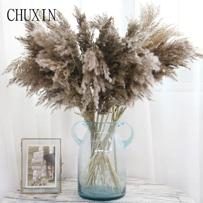 8/10/20 штук Природный сухих цветов Рид пампасной травы домашнего декора свадебных