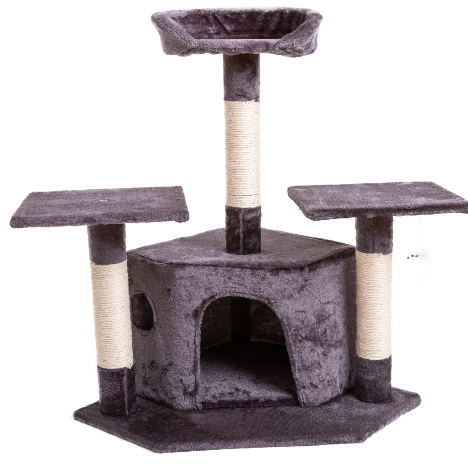 

Pet Products